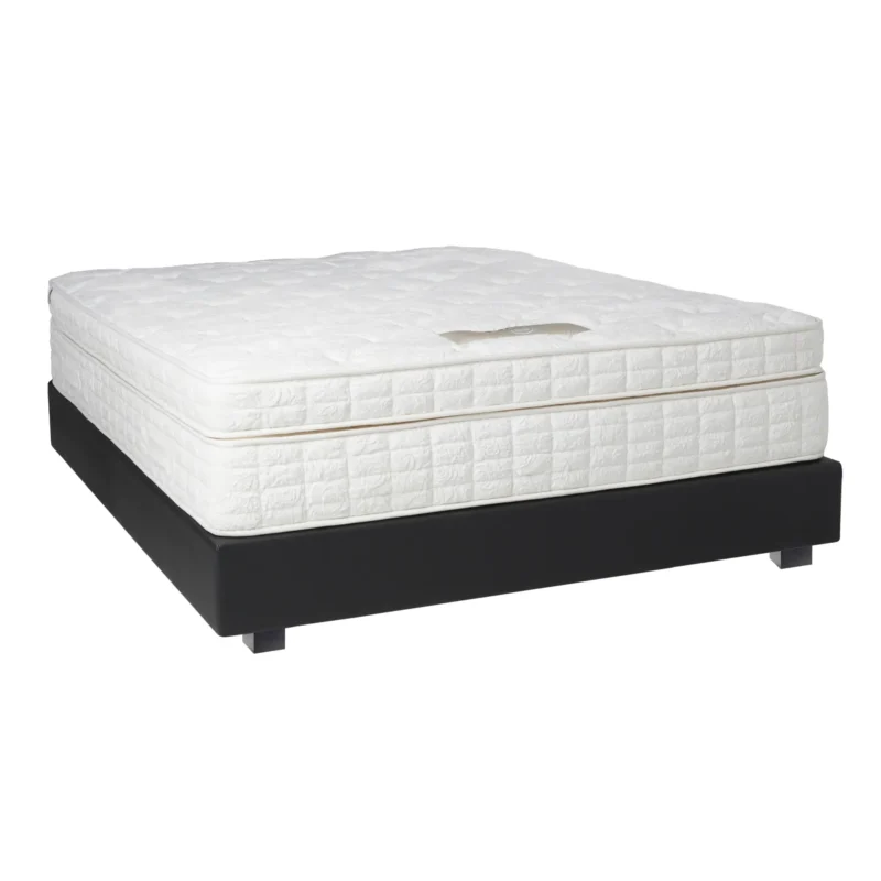 Cavallo - Einbreitt Heilsurúm